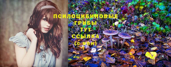 прущие крисы Балахна