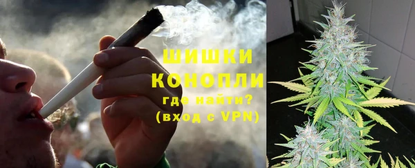 крисы Покачи